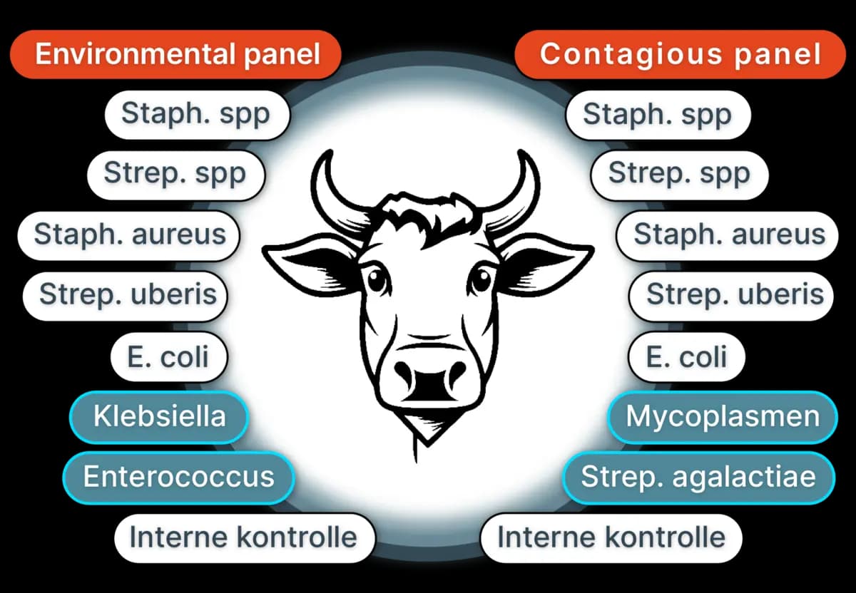 Pathogens Diagram